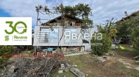 ����� ������� ����,���� �����, �-� ���������