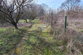 ����� ������� ���������� ����,�. ������, ������ �����