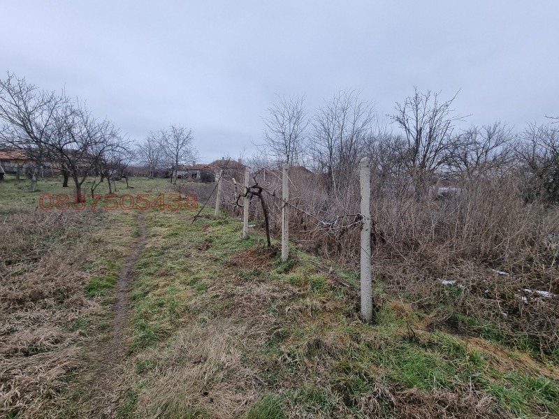 Продаја  Кућа регион Добрицх , Безмер , 60 м2 | 98004944 - слика [6]