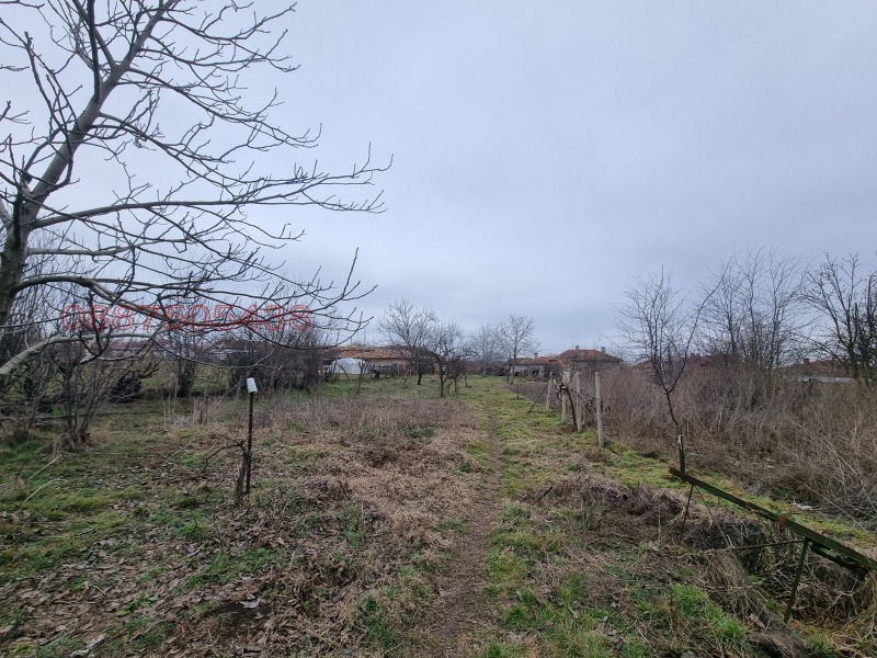 Продаја  Кућа регион Добрицх , Безмер , 60 м2 | 98004944 - слика [5]