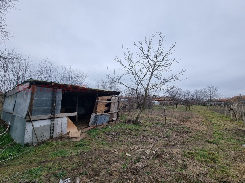 Продаја  Кућа регион Добрицх , Безмер , 60 м2 | 98004944 - слика [4]