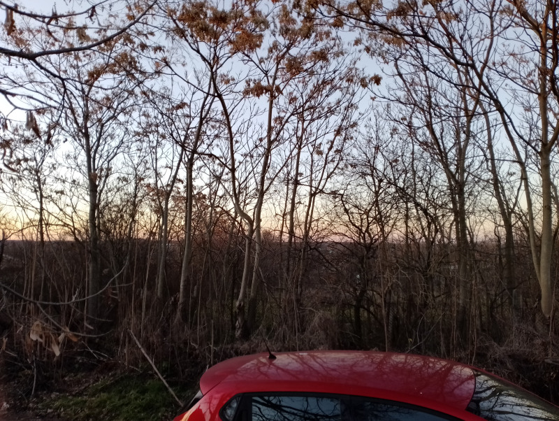 Продава ПАРЦЕЛ, с. Червенци, област Варна, снимка 8 - Парцели - 52800771