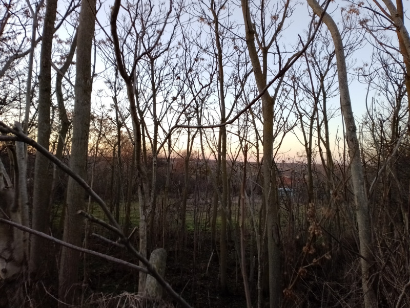 Продава ПАРЦЕЛ, с. Червенци, област Варна, снимка 10 - Парцели - 52800771