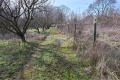 Продава  Земеделска земя област Варна , с. Тополи , 3.46 дка | 74182188 - изображение [3]