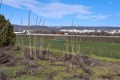 Продава  Земеделска земя област Варна , с. Тополи , 3.46 дка | 74182188 - изображение [4]