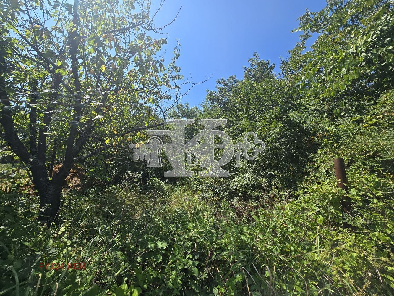 ������� ������ | Imot.bg � ����������� 5