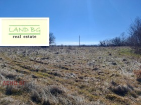 ����� ������� ������,��. ���� �����, ������ �����