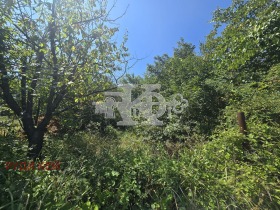 ������� ������ | Imot.bg � ����� ������ 5
