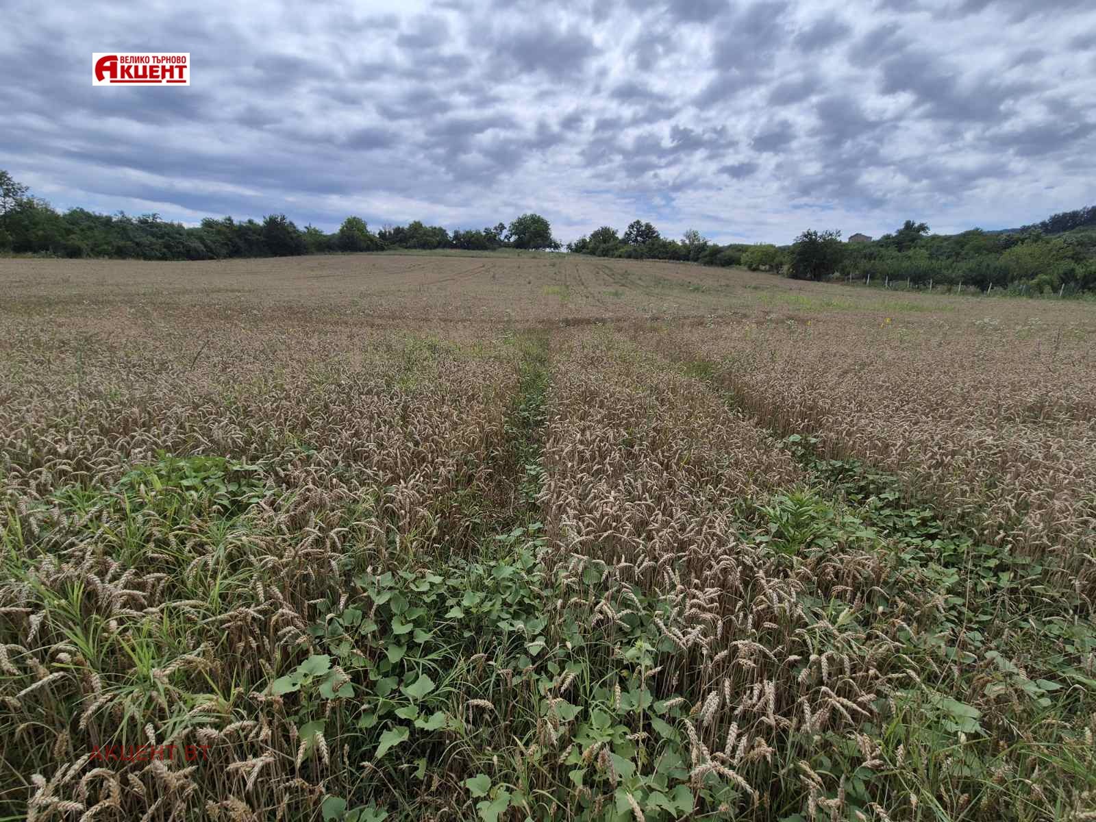 Продава ПАРЦЕЛ, с. Сливовица, област Велико Търново, снимка 2 - Парцели - 55349802