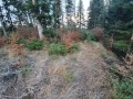 Продава ПАРЦЕЛ, м-т Цигов чарк, област Пазарджик, снимка 2