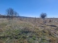 Продава ПАРЦЕЛ, гр. Елин Пелин, област София област, снимка 3