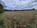 Продава ПАРЦЕЛ, с. Сливовица, област Велико Търново, снимка 1