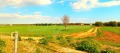 Продава ПАРЦЕЛ, Гърция, Халкидики • 55000 € / 107570.65 лв. • 30066888 2