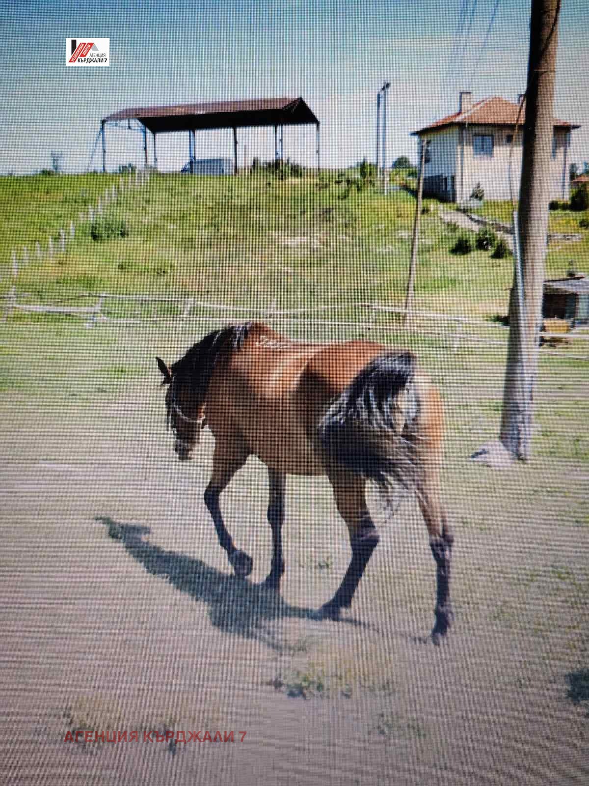 ������� ����. ��������� | Imot.bg � ����������� 9