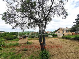 ����� ������� ����,�. ������ ��������, ������ ����� ������