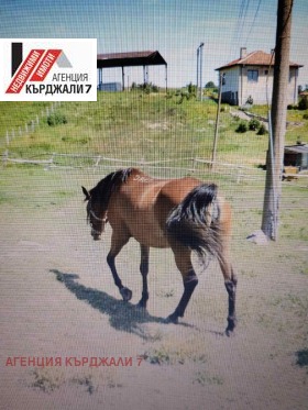 ������� ����. ��������� | Imot.bg � ����� ������ 9