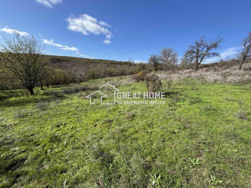 Продава КЪЩА, с. Заветно, област Търговище, снимка 3 - Къщи - 52399679