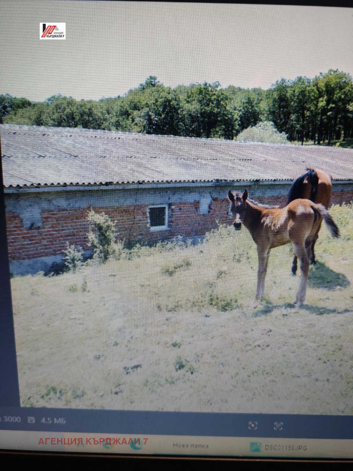 Продава ПРОМ. ПОМЕЩЕНИЕ, с. Соколяне, област Кърджали, снимка 7 - Производствени сгради - 54027276