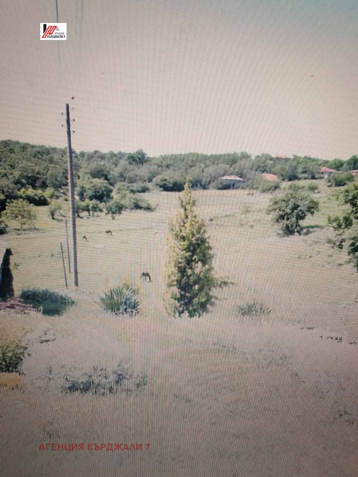 Продава ПРОМ. ПОМЕЩЕНИЕ, с. Соколяне, област Кърджали, снимка 10 - Производствени сгради - 54027276