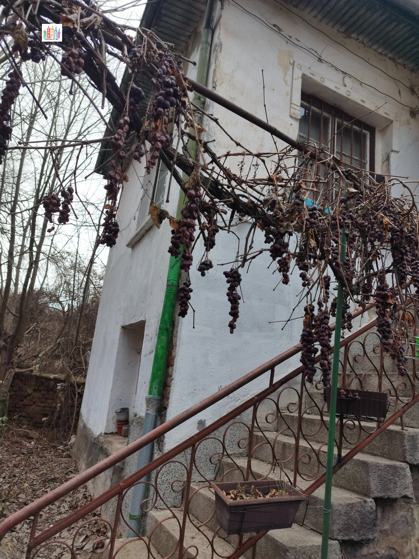 ������� ���� | Imot.bg � ����������� 13