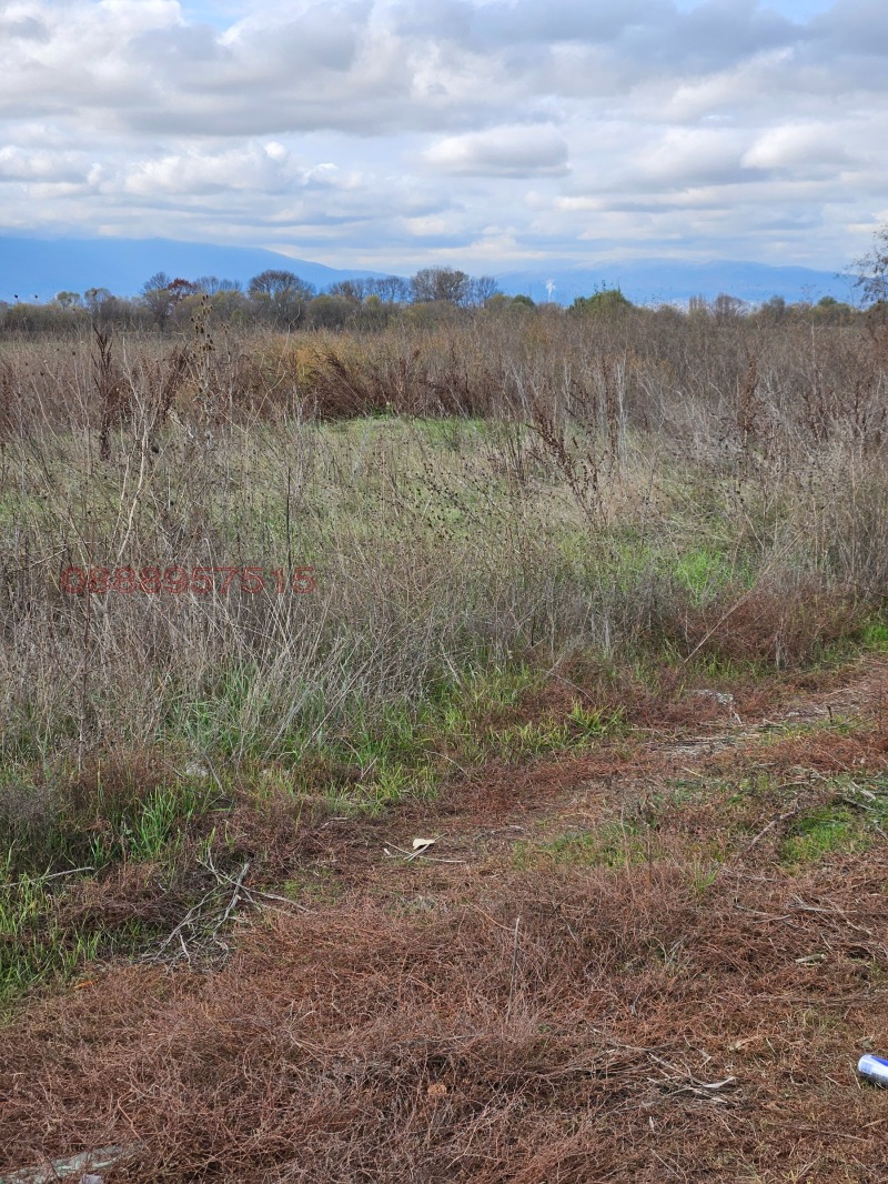 Продава ПАРЦЕЛ, гр. София, с. Чепинци, снимка 2 - Парцели - 52784963