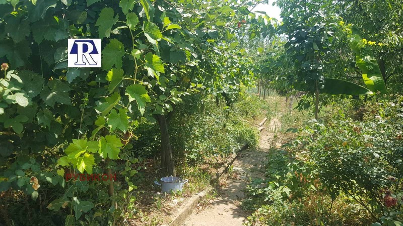 Till salu  Hus region Pleven , Grivica , 120 kvm | 23815685 - bild [11]