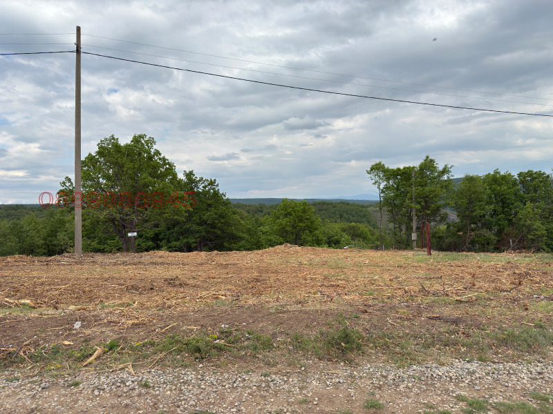 Продава ПАРЦЕЛ, яз. Пчелина, област Перник, снимка 3 - Парцели - 52783098