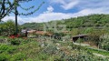 Продава КЪЩА, област Пазарджик, гр. Белово • 65990 € • 79890756 — Holmes.bg