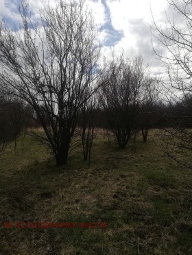 ������� ���� | Imot.bg � ����� ������ 8