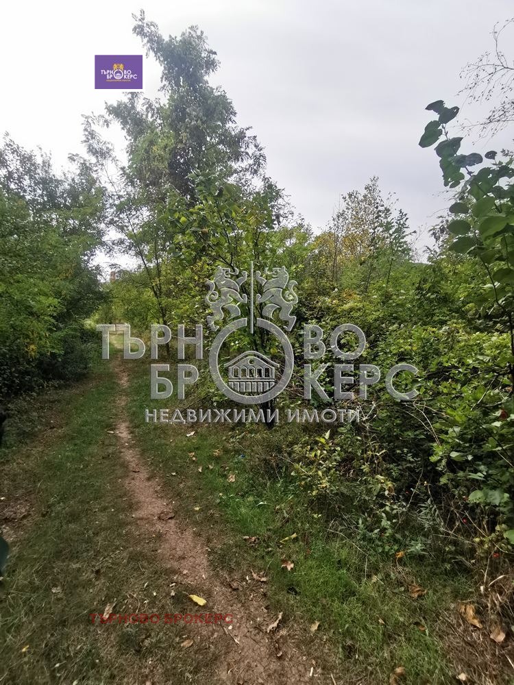 Продается  Сюжет область Велико Тырново , Горна Оряховица , 4145 кв.м | 91122612 - изображение [3]