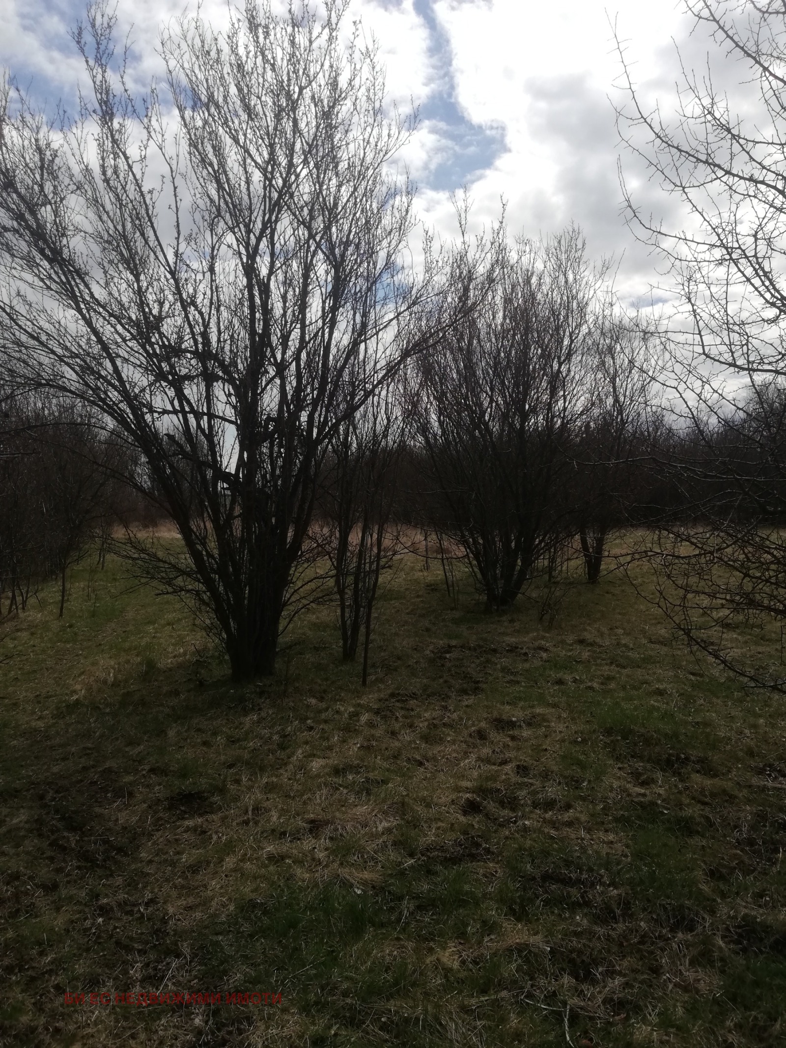 Продава КЪЩА, с. Негованци, област Перник, снимка 8 - Къщи - 54360604