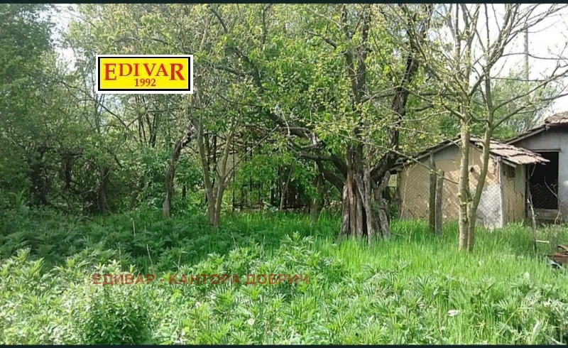 Продава КЪЩА, с. Калина, област Добрич, снимка 2 - Къщи - 52787878