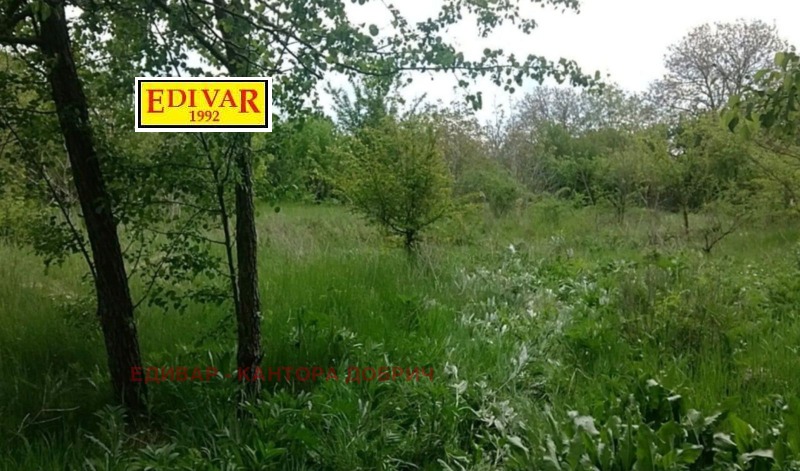 Продава КЪЩА, с. Калина, област Добрич, снимка 4 - Къщи - 52787878