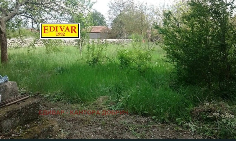 Продава КЪЩА, с. Калина, област Добрич, снимка 3 - Къщи - 52787878