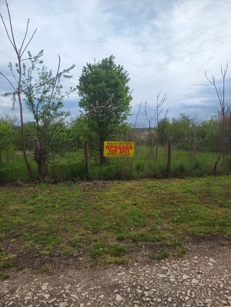 À venda  Trama região Shumen , Pliska , 1768 m² | 89715577