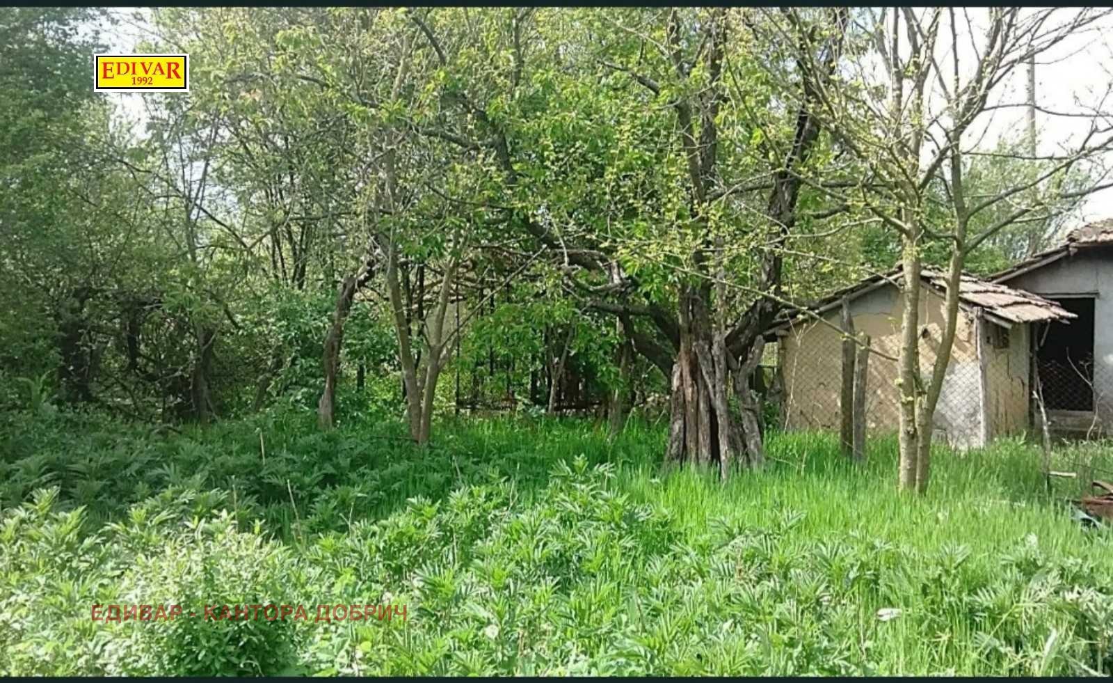 Продава КЪЩА, с. Калина, област Добрич, снимка 2 - Къщи - 52787878