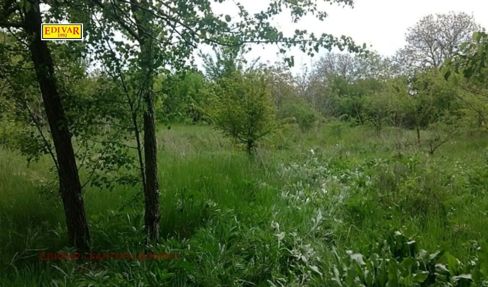 Продава КЪЩА, с. Калина, област Добрич, снимка 4 - Къщи - 52787878