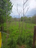 Продава ПАРЦЕЛ, област Шумен, гр. Плиска • 35000 лв. • 46102915 — Holmes.bg