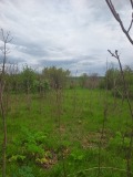 Продава ПАРЦЕЛ, област Шумен, гр. Плиска • 35000 лв. • 46102915 — Holmes.bg