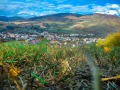 Продава ПАРЦЕЛ, област Шумен, с. Дибич • 90000 лв. / 46016.27 € • 21596391 1
