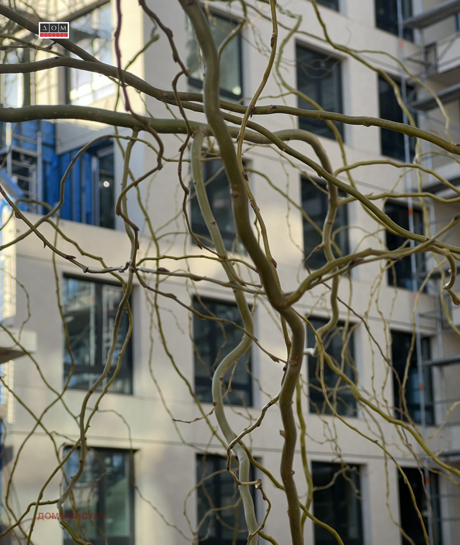 ������� 4-����� | Imot.bg � ����������� 2