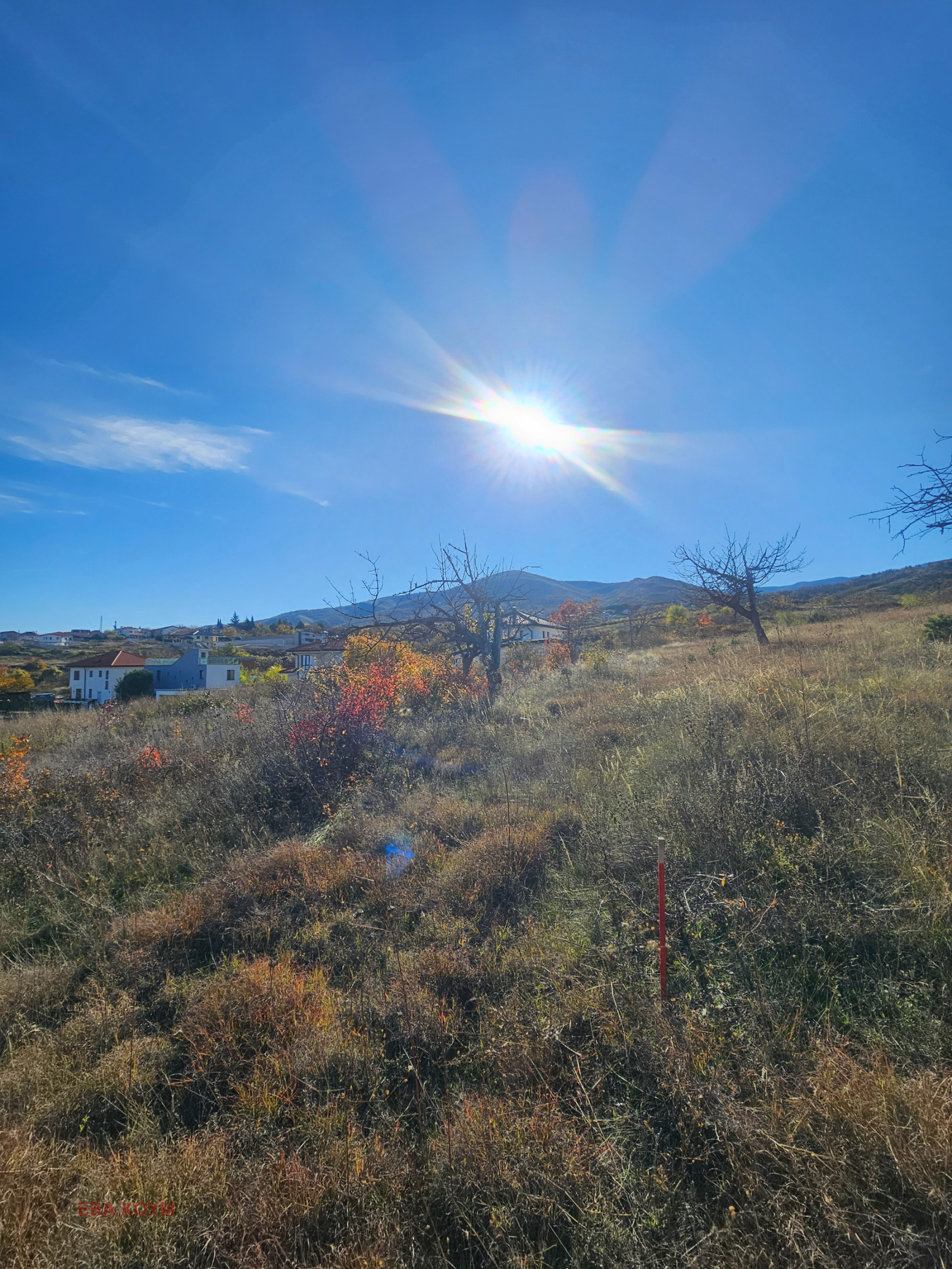 ������� ������ | Imot.bg � ����������� 1