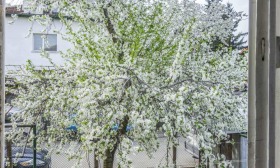 ������� ���� �� ���� | Imot.bg � ����� ������ 11