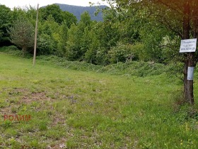 Jord Kravenik, region Gabrovo 3