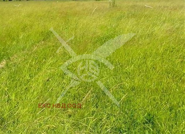 Till salu  Komplott region Plovdiv , Orizari , 9000 kvm | 89430994