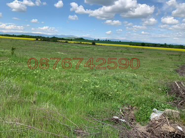 Продава ЗЕМЕДЕЛСКА ЗЕМЯ, с. Чоба, област Пловдив, снимка 3 - Земеделска земя - 54162738