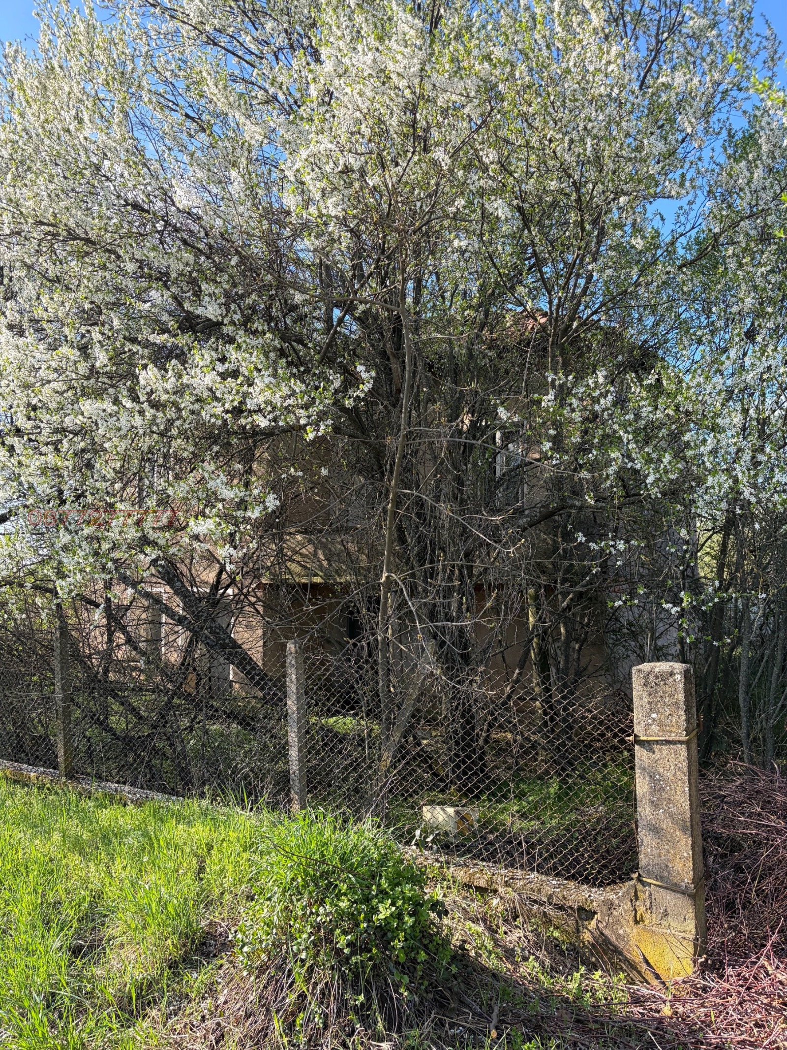Продава КЪЩА, с. Делейна, област Видин, снимка 2 - Къщи - 54379558