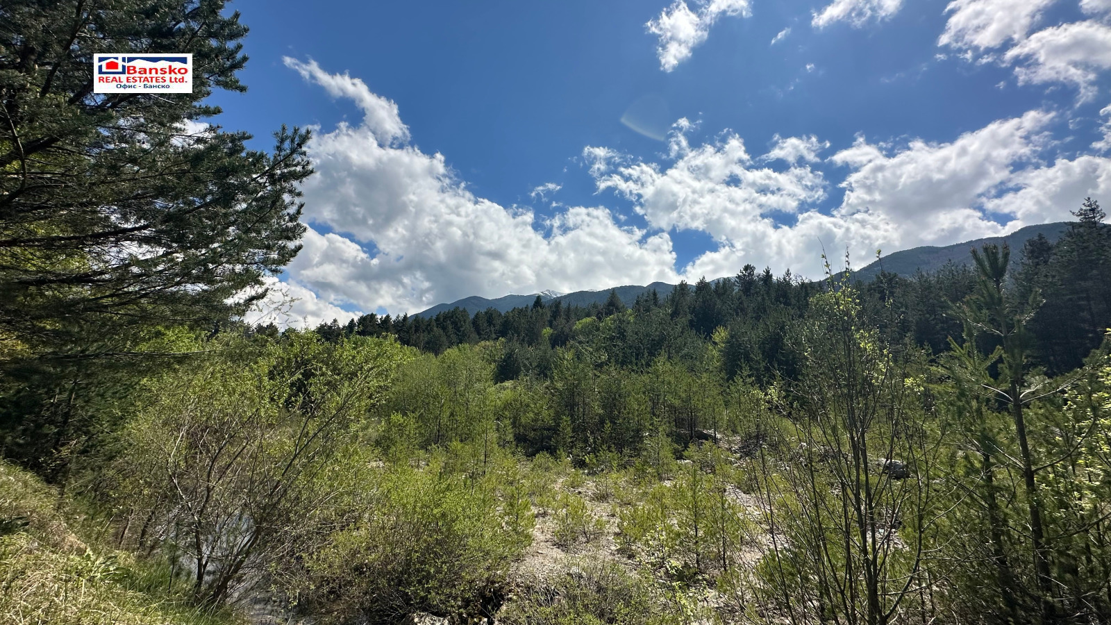 Продава ПАРЦЕЛ | Imot.bg — изображение 5