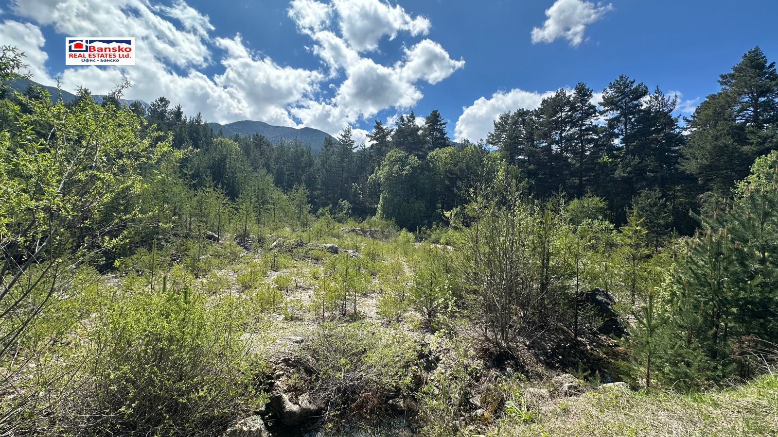 Продава ПАРЦЕЛ | Imot.bg — изображение 3