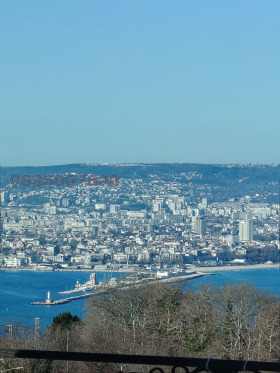 ����� ������� �����,���� �����, ������